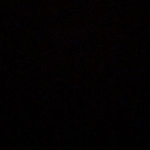 Meet your Posher, Trevor